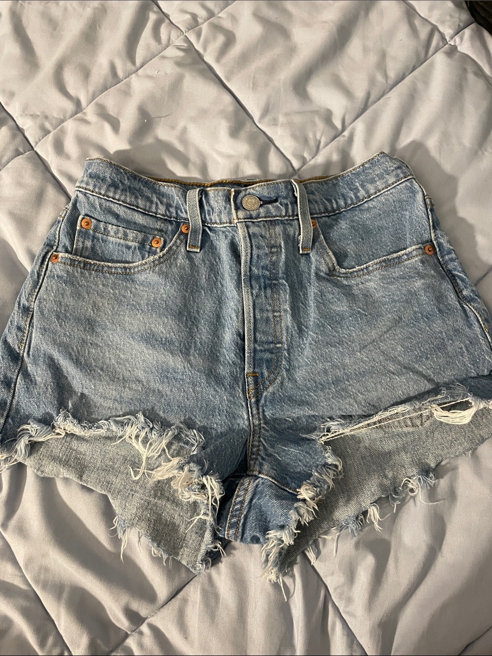 Signature by Levi Strauss Light Blue Distressed Denim Cutoff Shorts